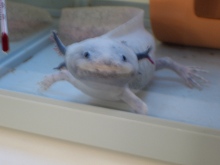 ���񂢂��낤